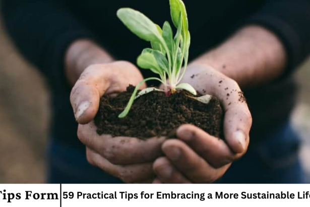 59 Practical Tips for Embracing a More Sustainable Lifestyle