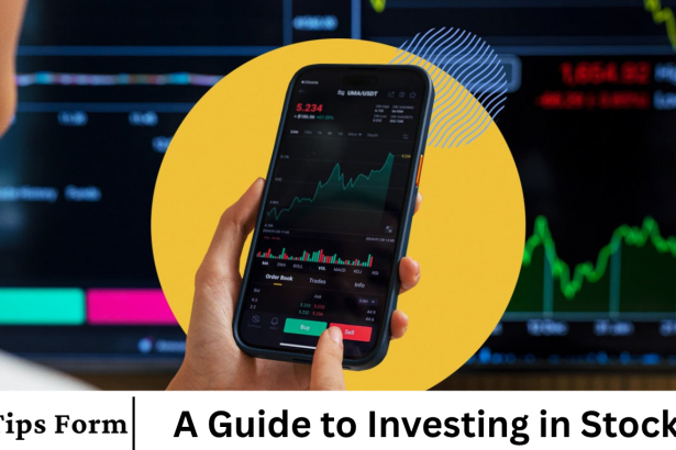 A Guide to Investing in Stocks