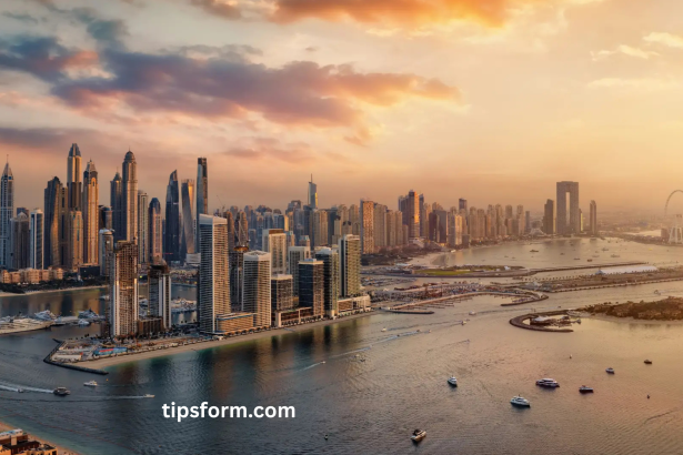 Dubai Property Market Trends to Watch in 2025 and Beyond